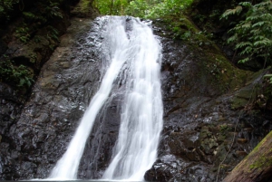 Jaco Beach: 10 Hidden Waterfalls Guided Experience