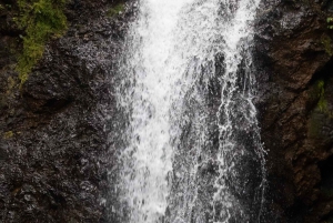 Jaco Beach: 10 Hidden Waterfalls Guided Experience