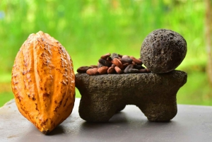 Jaco Beach: 2-Hour Chocolate Experience Tour
