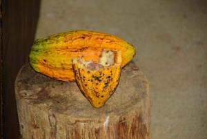 Jaco Beach: 2-Hour Chocolate Experience Tour