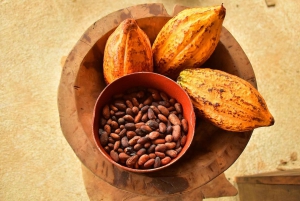 Playa Jaco: Excursión de 2 horas a la Experiencia del Chocolate