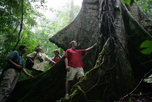 Jaco Beach:5 in 1 Adrenaline Extreme at Rainforest Adventure