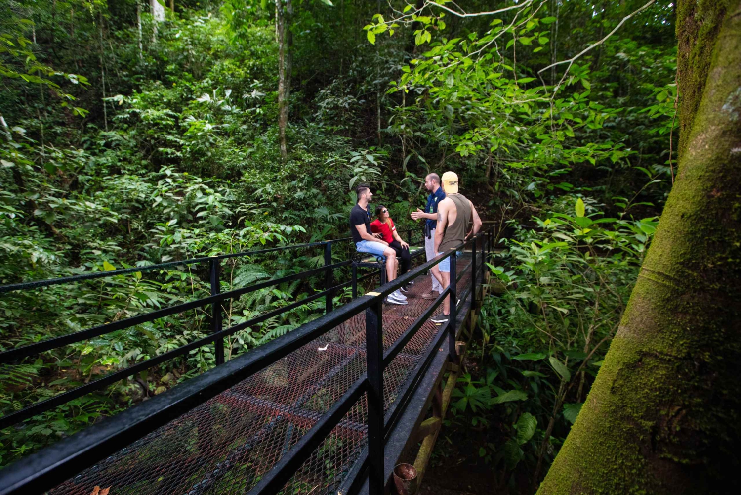 Jaco Beach: 5-in-1 Rainforest Adrenaline Adventure