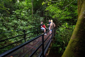 Jaco Beach: 5-in-1 Rainforest Adrenaline Adventure