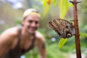 Jaco Beach: 5-in-1 Rainforest Adrenaline Adventure