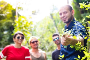 Jaco Beach: 5-in-1 Rainforest Adrenaline Adventure