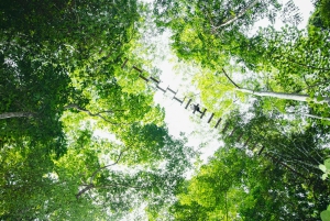 Jaco Beach: 5-in-1 Rainforest Adrenaline Adventure