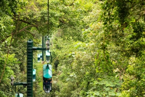 Jaco Beach: 5-in-1 Rainforest Adrenaline Adventure