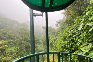 Jaco Beach: 5-in-1 Rainforest Adrenaline Adventure