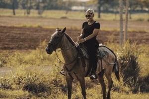 Jaco Beach Costa Rica Horseback Riding Experience