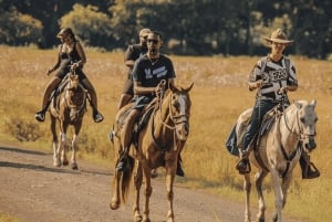 Jaco Beach Costa Rica Horseback Riding Experience