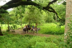 Jaco Beach: Reiten mit Naturbadestopp