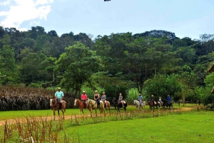 Jaco Beach: Hesteridning med stopp ved det naturlige bassenget