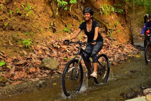 Jaco Beach: Jungle and Waterfalls Mountain Bike Tour