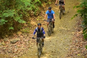 Jaco Beach: tour in mountain bike della giungla e delle cascate