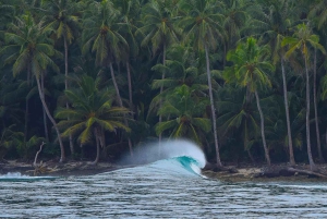 Jaco Beach: Surfen lernen in Costa Rica - Surfen für Familien