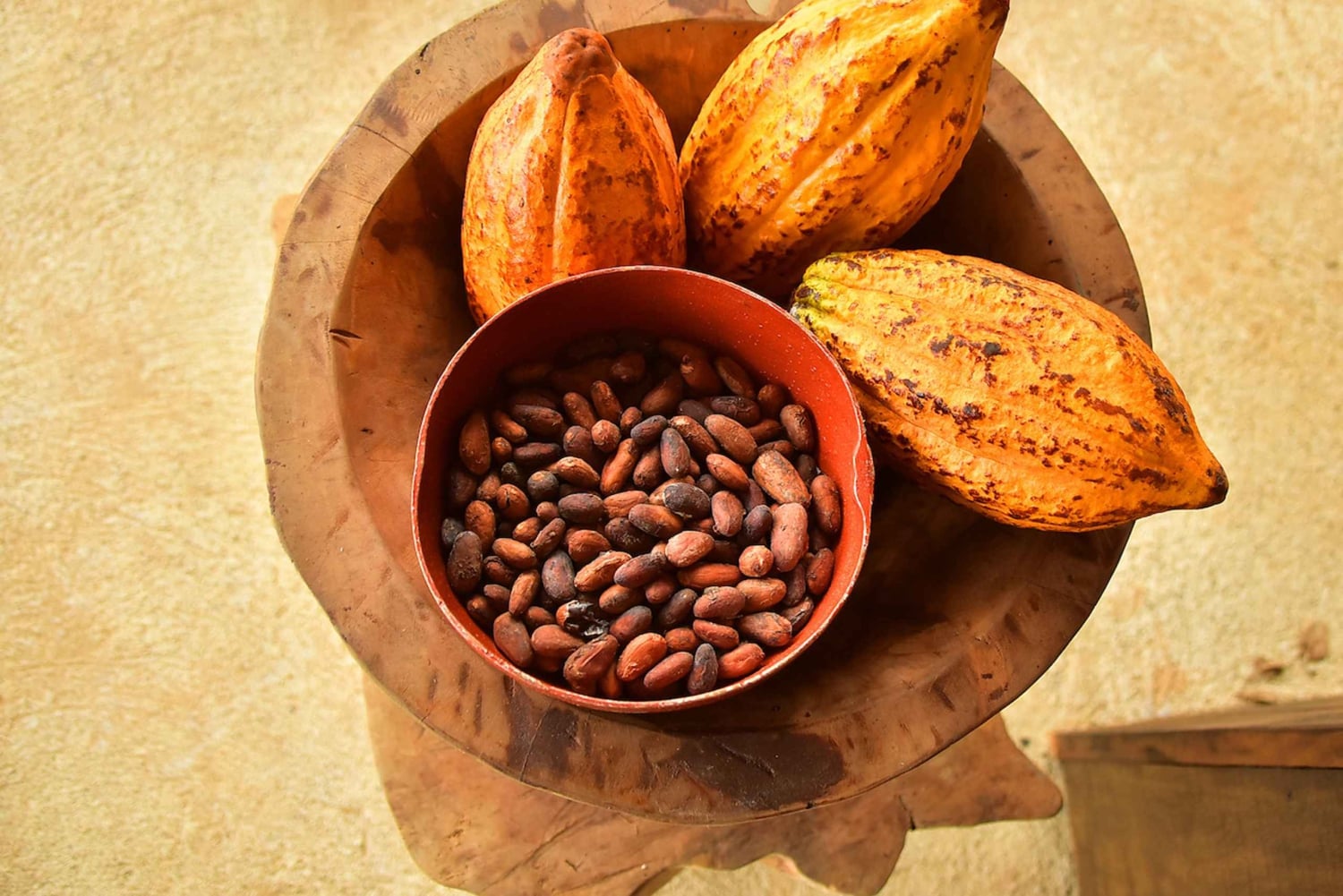 Plaża Jaco i Los Suenos: wycieczka czekoladowa i tyrolka