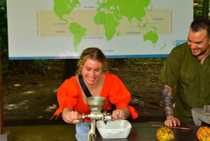 Plaża Jaco i Los Suenos: wycieczka czekoladowa i tyrolka