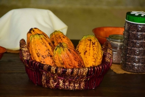 Plaża Jaco i Los Suenos: wycieczka czekoladowa i tyrolka