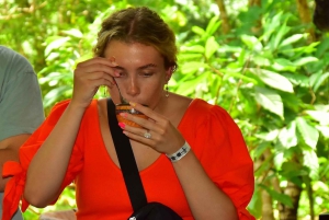 Plaża Jaco i Los Suenos: wycieczka czekoladowa i tyrolka