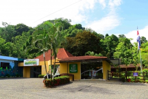 Jaco Beach: Zip Line Canopy Tour