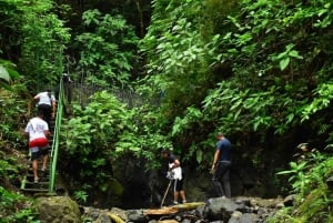 Jaco Beach: Zip-lining, Horseback Tour Combo