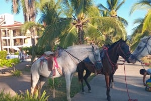 Excursions à cheval à Jaco