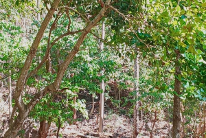 Excursiones a caballo en Jaco