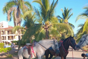 Excursiones a caballo en Jaco