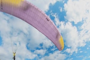 900 Fuß Flug mit Blick auf den Pazifik und tropische Wälder