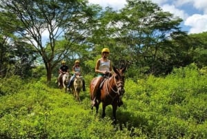 Jaco: Rainforest Horseback Ride to El Encanto Waterfall