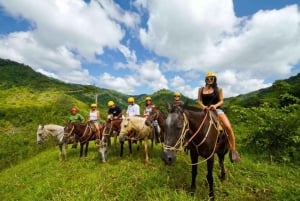 Jaco: Rainforest Horseback Ride to El Encanto Waterfall