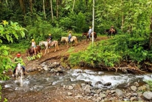 Jaco: Rainforest Horseback Ride to El Encanto Waterfall