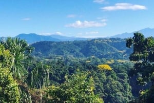 Jaco: Rainforest Horseback Ride to El Encanto Waterfall