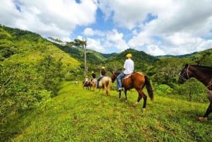 Jaco: Rainforest Horseback Ride to El Encanto Waterfall