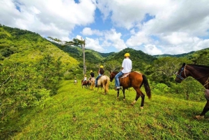 Jaco: Passeio a cavalo pela floresta tropical até a cachoeira El Encanto