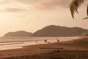 Jaco: Sunset Paragliding Flight in Puntarenas Province