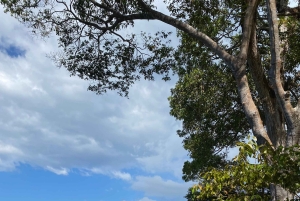 Jacó : leçon de surf avec un moniteur certifié