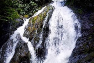 Jaco: Waterfall Rappelling & Jungle Tractor Tour
