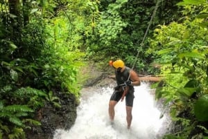 Jaco: Waterfall Rappelling & Jungle Tractor Tour