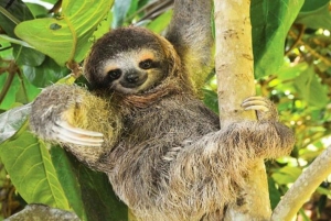 Jaco: Vesiputouksen kiipeily ja viidakkotraktorikierros