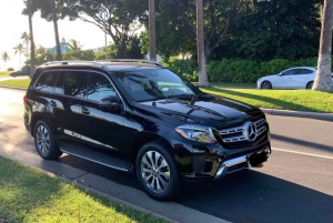 Juan Santamaria Airport (SJO): Private Transfer to San Jose