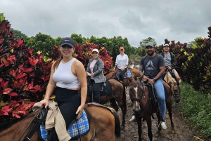 Katira: Rio Celeste Tubing en paardrijden