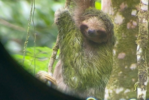 Katira: Rio Celeste Tubing en paardrijden