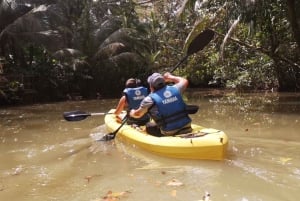 Tour in kayak a La Fortuna: Safari in kayak nel Rio Peñas Blancas