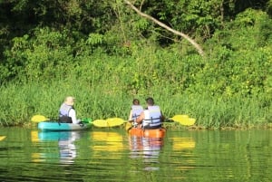 Tortuguero: KAYAK Tour in the Canals. An Unparalleled Experience