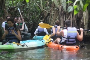 Tortuguero: KAYAK Tour in the Canals. An Unparalleled Experience