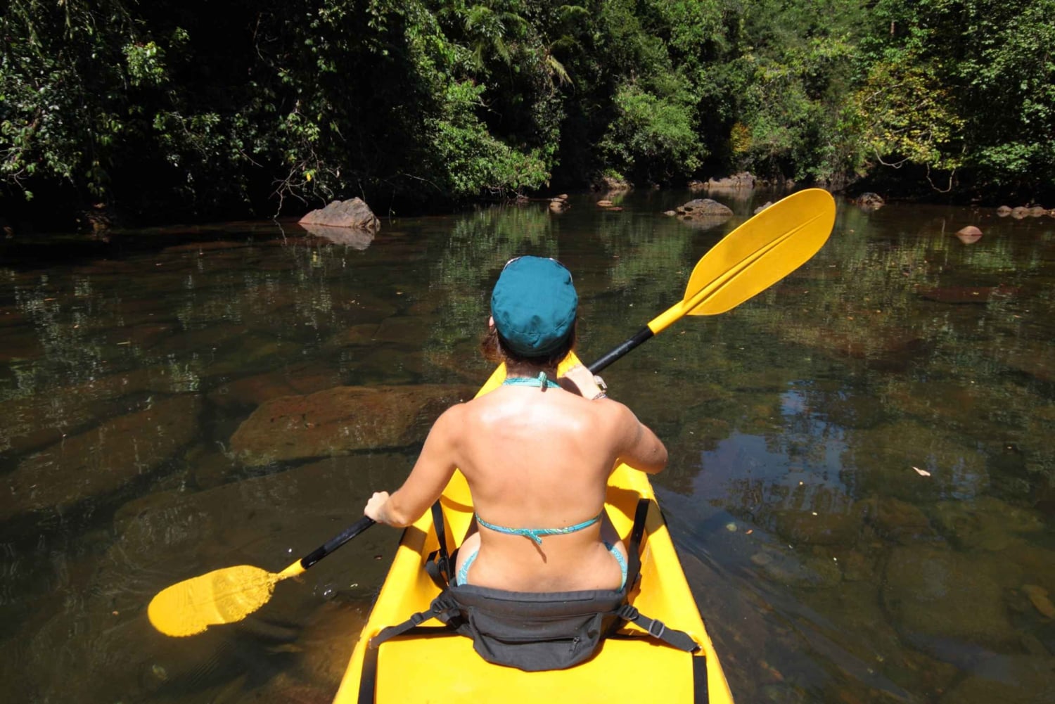 Aventura de caiaque: uma escapadela de 2 horas na vida selvagem