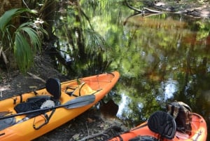 Aventura de caiaque: uma escapadela de 2 horas na vida selvagem