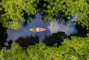 Aventura de caiaque: uma escapadela de 2 horas na vida selvagem